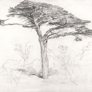 Meet your Posher, Katy